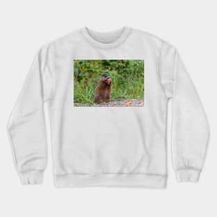 Beaver munching on a carrot Crewneck Sweatshirt